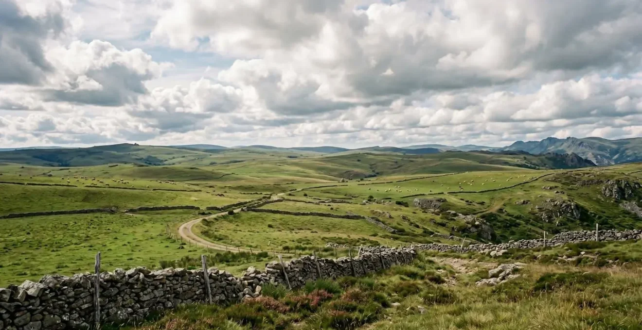 Vue panoramique du plateau de l'Aubrac avec ses pâturages verts et son ciel ouvert en Lozère