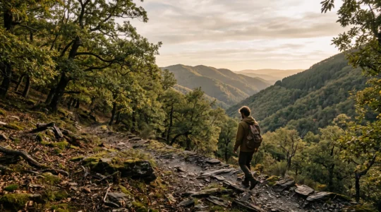 Randonneur solitaire avançant sur un sentier schisteux bordé de châtaigniers dans la lumière dorée du matin en Cévennes